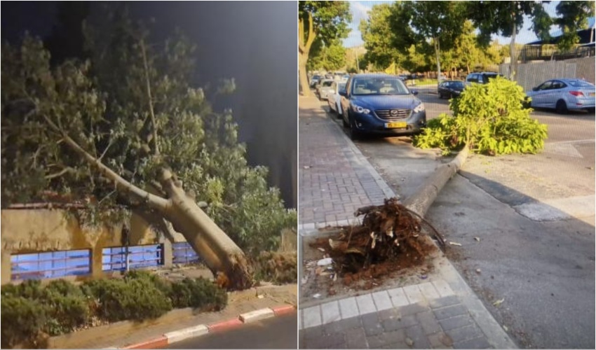 קריסת עצים ברחובות, צילומים דוברות העירייה